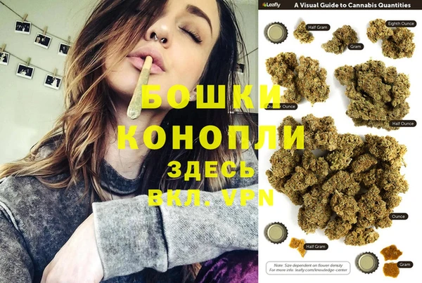прущие грибы Мегион
