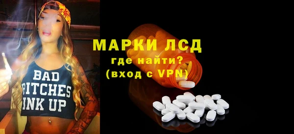 прущие грибы Мегион