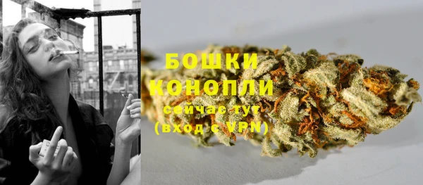 прущие грибы Мегион